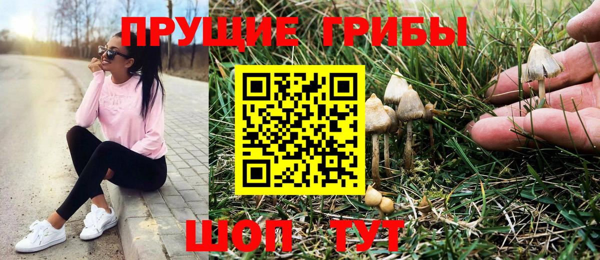 Кострома  Псилоцибиновые грибы мицелий  магазин    Вход с VPN 